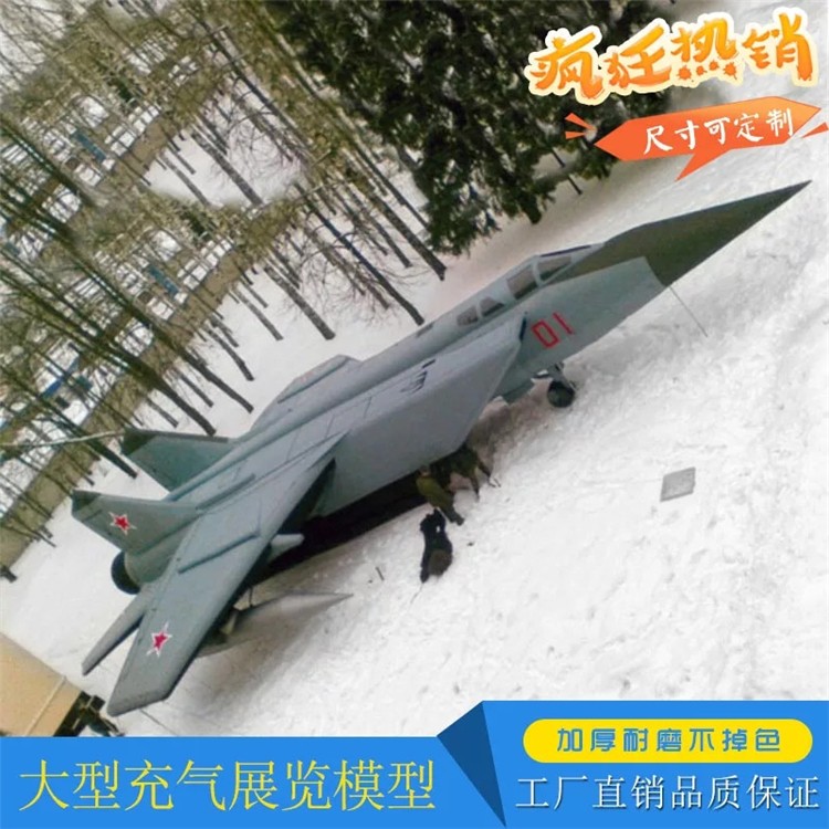 贞丰充气飞机气模厂家